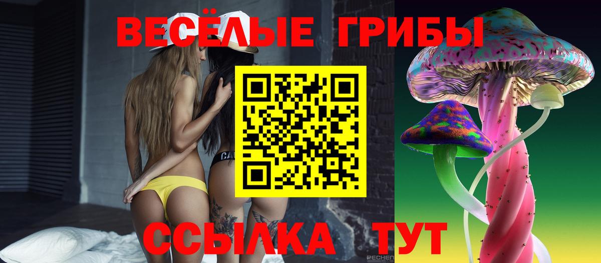 Галлюциногенные грибы MAGIC MUSHROOMS  Вход с VPN  Шатура 